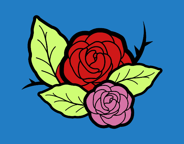 Dos rosas