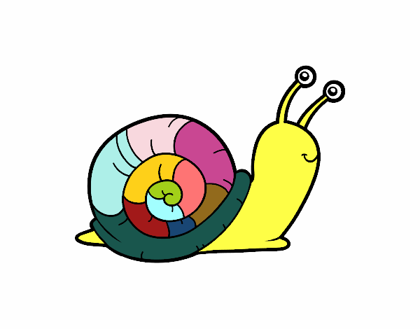 El caracol