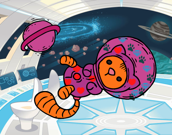 Gatito astronauta