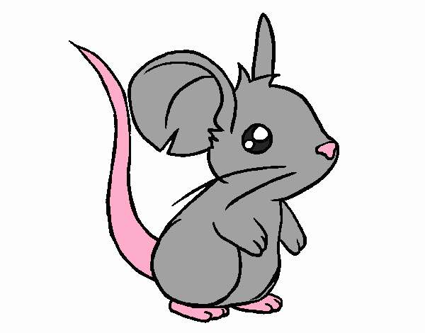 Ratoncito