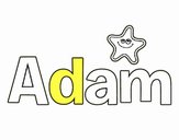 Adam