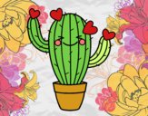 Cactus corazón