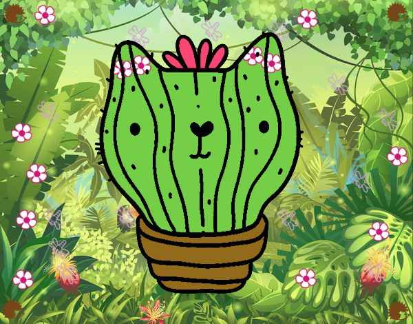 Cactus gato