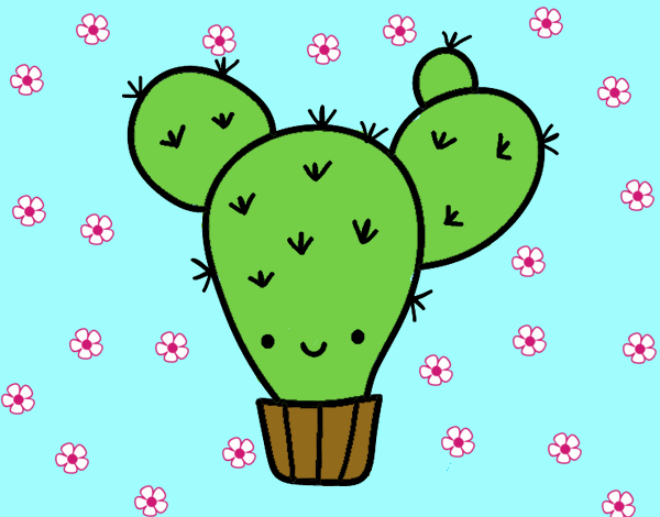 Cactus nopal