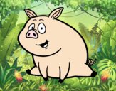 Cerdito de granja