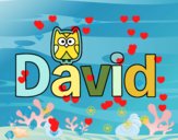 David