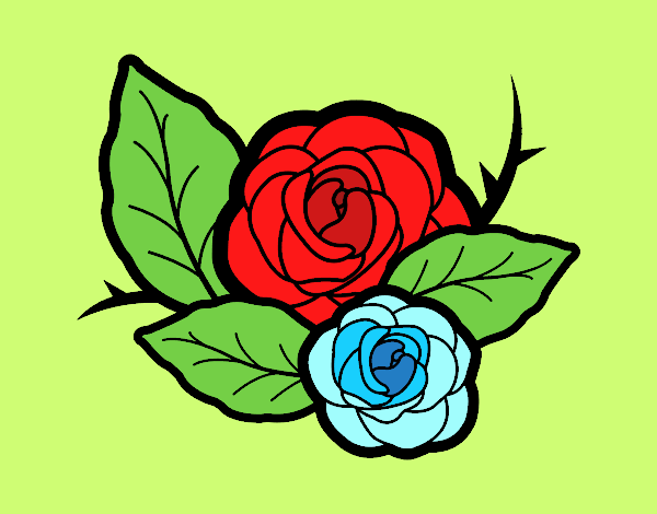 Dos rosas