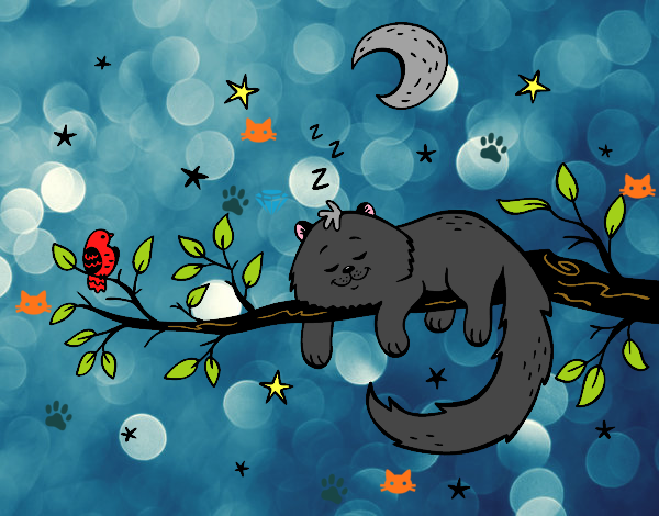 El gato y la luna