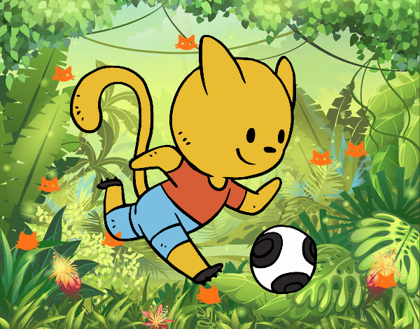 Gato jugando a fútbol