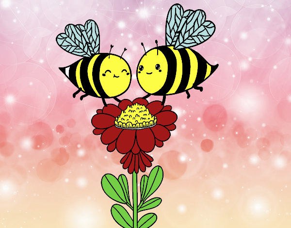 Pareja de abejas