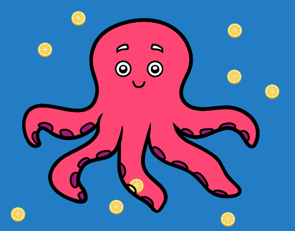 Pulpo infantil