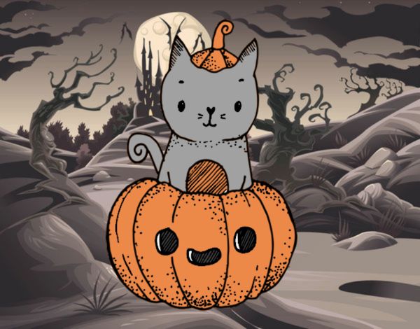 Un gatito de Halloween