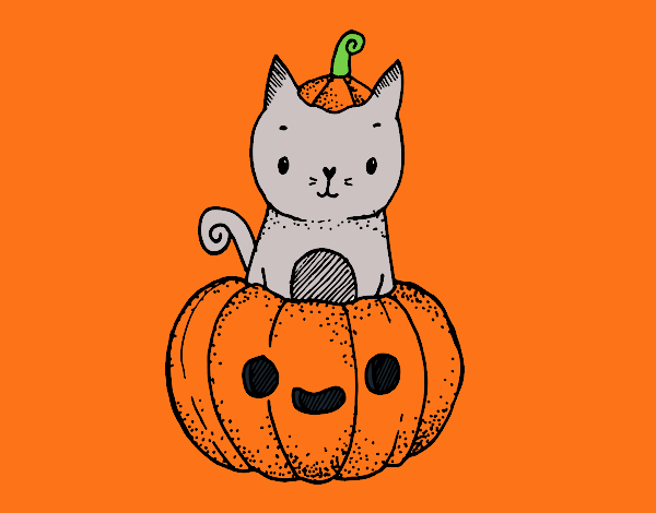 Un gatito de Halloween