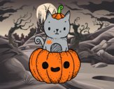 Un gatito de Halloween