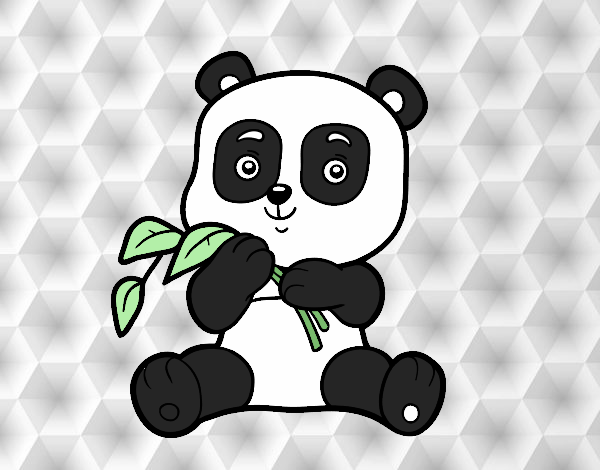 panda