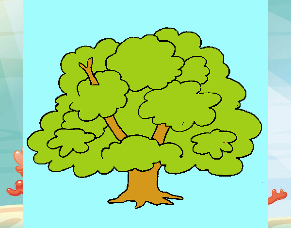 Árbol