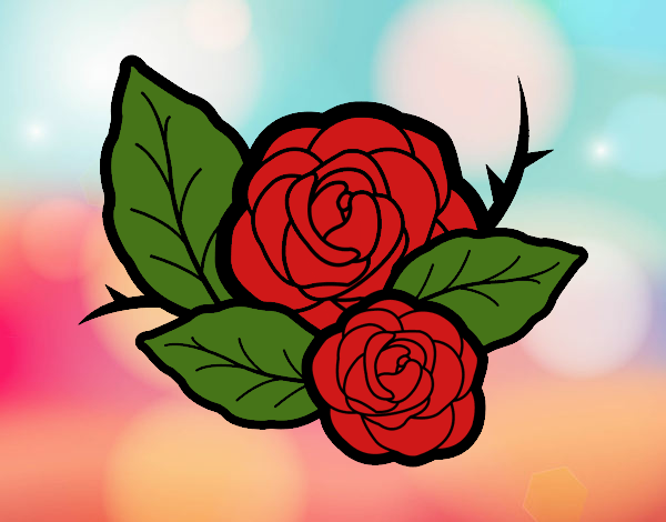 Dos rosas