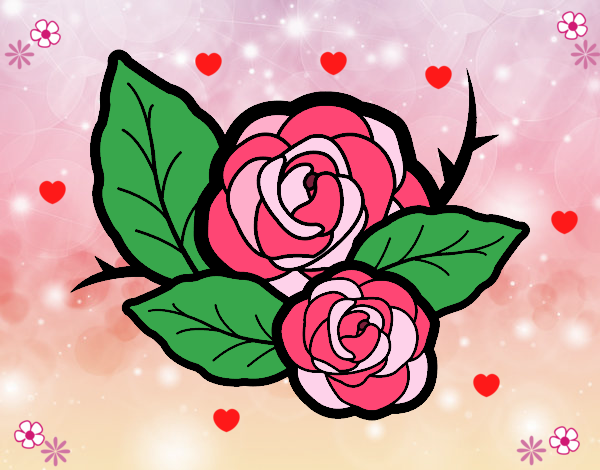 flor rosa y hermosa