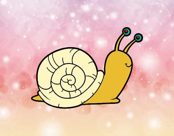 El caracol