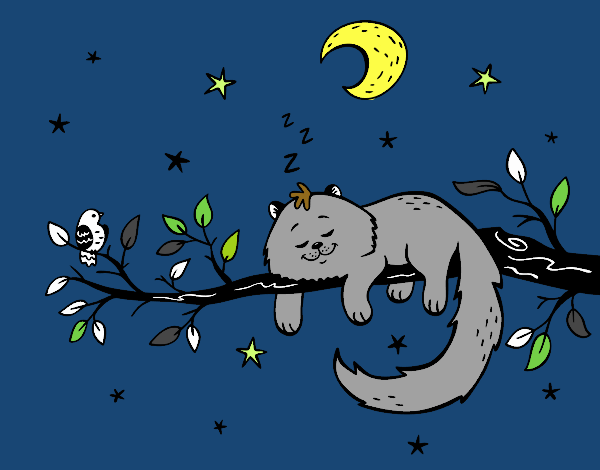 El gato y la luna