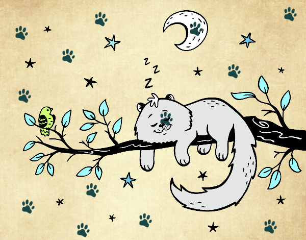 El gato y la luna