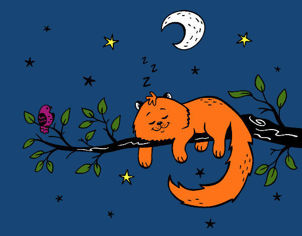 El gato y la luna