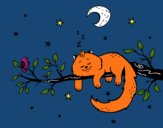 El gato y la luna