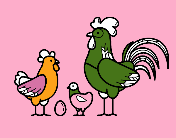 Familia gallina