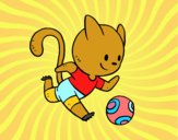 Gato jugando a fútbol