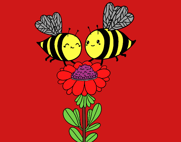 Pareja de abejas