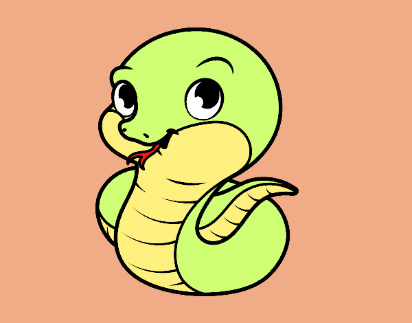 Serpiente bebé