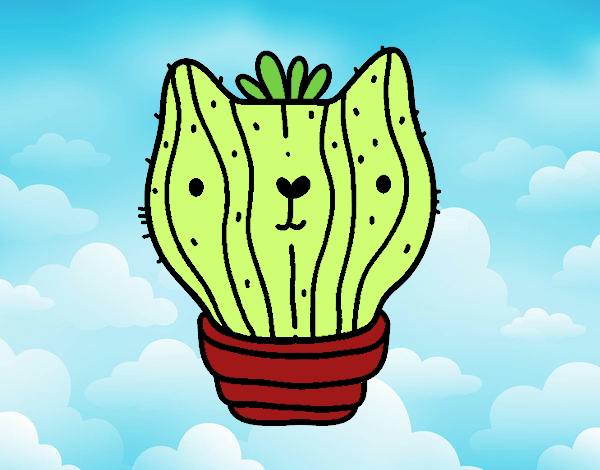 Cactus gato