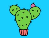 Cactus nopal