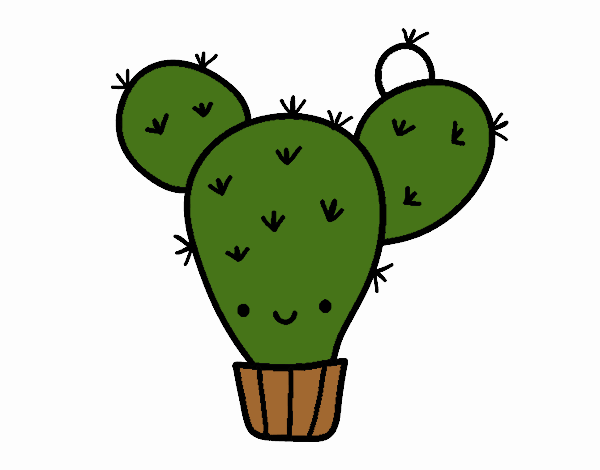 Cactus nopal