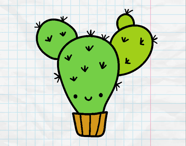 Cactus nopal