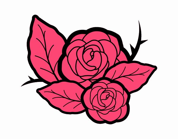 Dos rosas