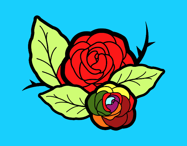 Dos rosas