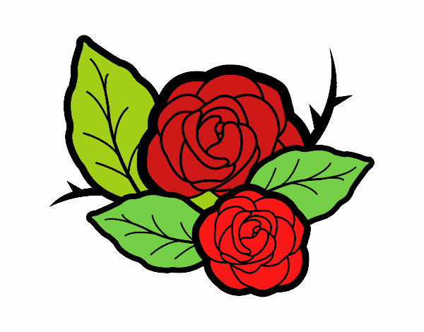 Dos rosas