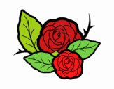 Dos rosas