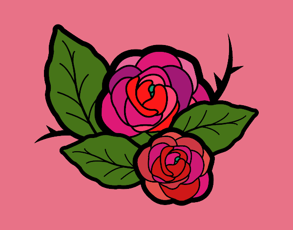 Dos rosas