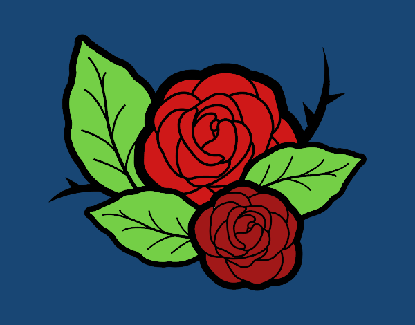 Dos rosas