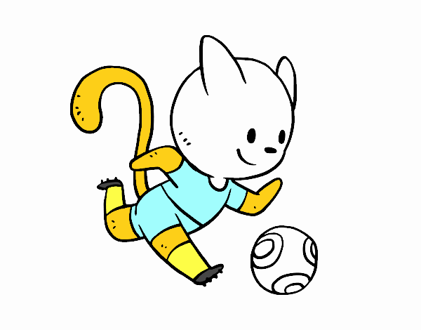 Gato jugando a fútbol