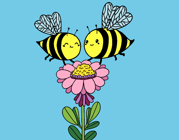 Pareja de abejas