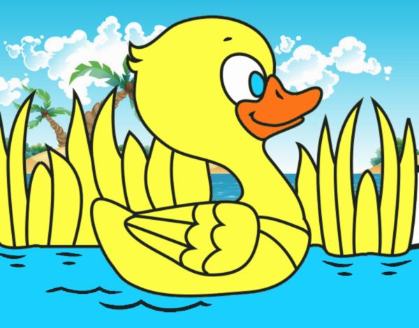 Patito de río