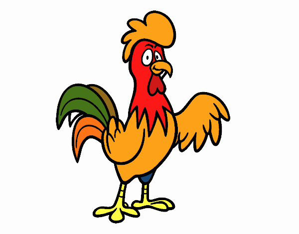 Un gallo de corral