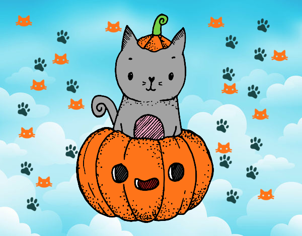 Un gatito de Halloween