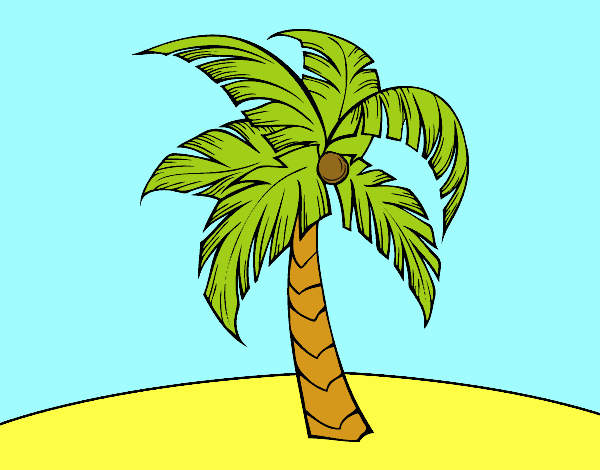 la palmera 