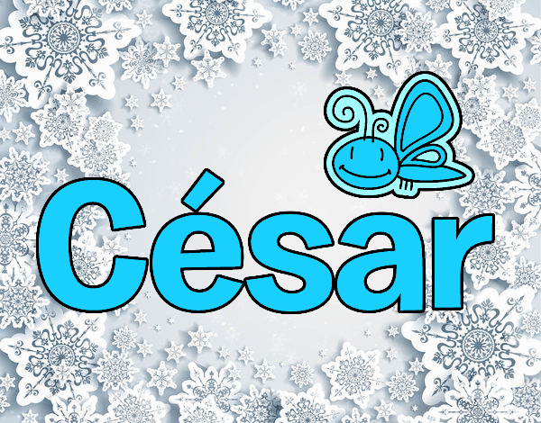 César