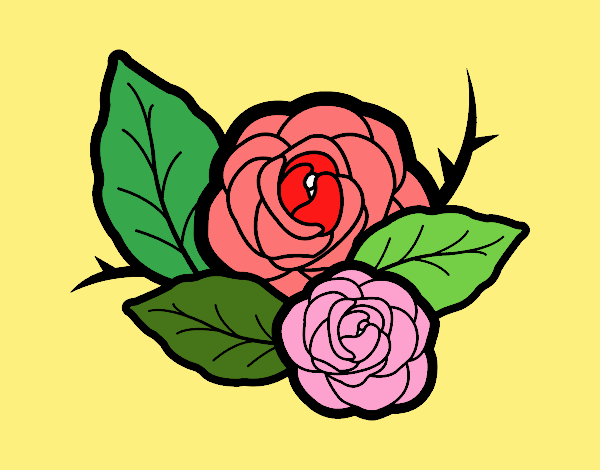 Dos rosas