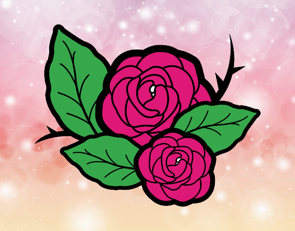 Dos rosas